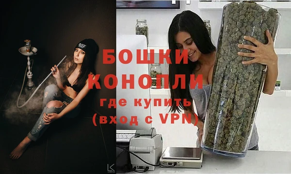 apvp Гусь-Хрустальный